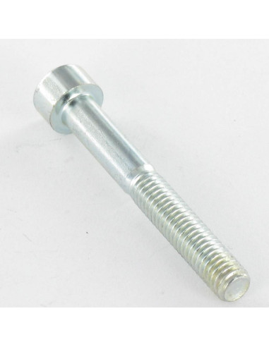 1 x Tornillo metales CHC BTR M8X100 roscado en...