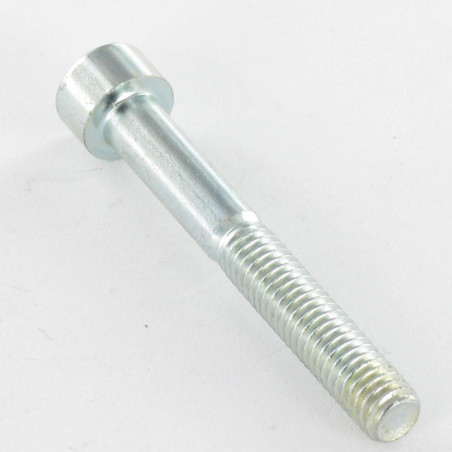1 x Tornillo metales CHC BTR M5X30 roscado en 22 Clase 8.8 llave de 4 Acero cincado blanco