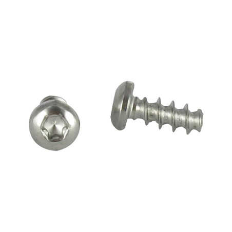 1 x Tornillo pvc cabeza abovedada ancha 4X14 TORX T20 Inoxidable A2