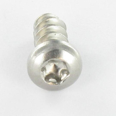 1 x Tornillo pvc cabeza abovedada ancha 4X14 TORX T20 Inoxidable A2
