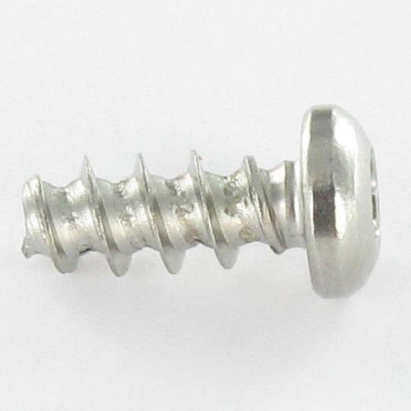 1 x Tornillo pvc cabeza abovedada ancha 4X14 TORX T20 Inoxidable A2
