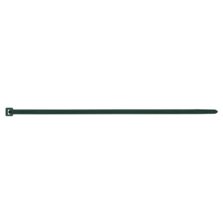 1 x Abrazaderas de sujeción inox Nylon Verde 2,5 x 100
