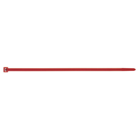 1 x Abrazaderas de sujeción inox Nylon rojo 4.8X200