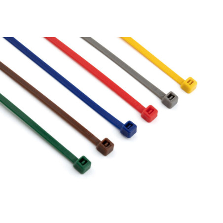 1 x Abrazaderas de sujeción inox Nylon Gris 4.8X200