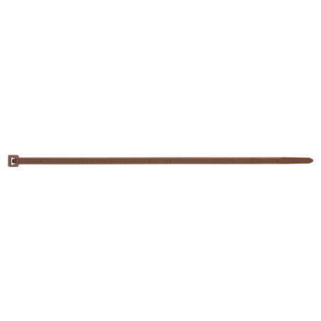 1 x Abrazaderas de sujeción inox Nylon marrón 2,5 x 100