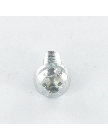 1 x Tornillo autorroscante cabeza cilíndrica...