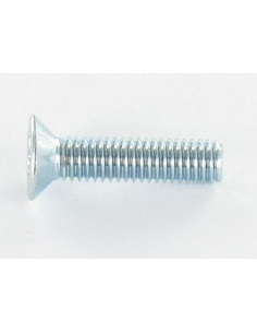 Tornillo metales cabeza fresada/testa svasat TORX T25... 2
