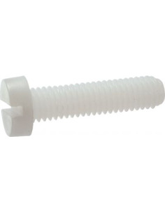 Tornillo metales cabeza cilíndrica ranura M10X12 natural...