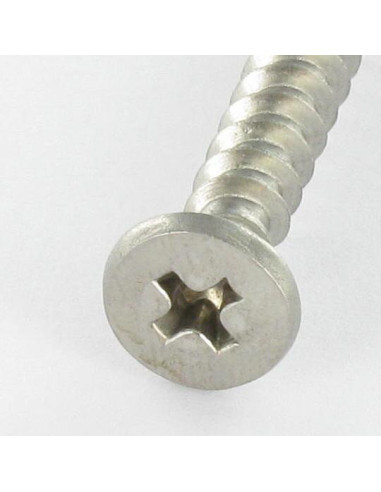 1 x Tornillo pvc Inoxidable A2 cabeza...