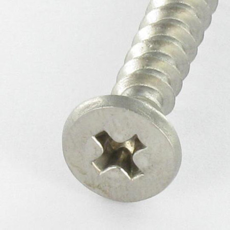 1 x Tornillo pvc Inoxidable A2 cabeza cilíndrica phillips 5X46