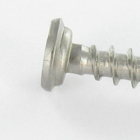 1 x Tornillo pvc Inoxidable A2 cabeza cilíndrica phillips 5X46