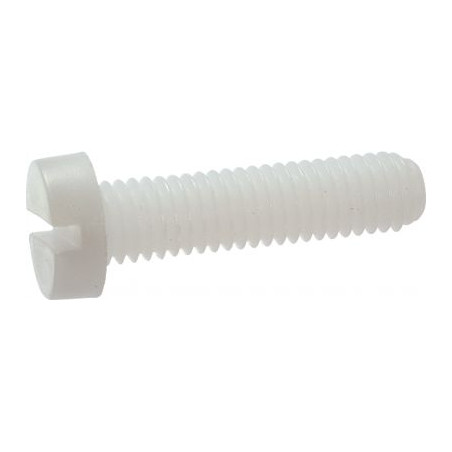1 x Tornillo metales cabeza cilíndrica ranura M6X30 poliamida 6.6 natural nylon