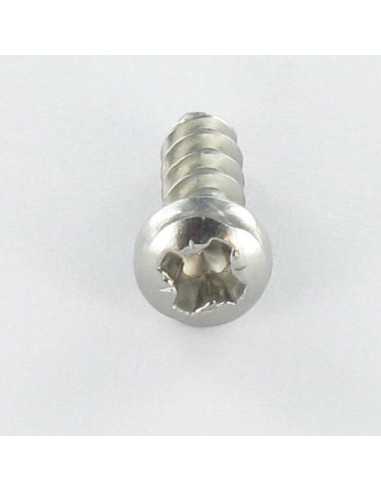 1 x Tornillo pvc cabeza cilíndrica abombada...