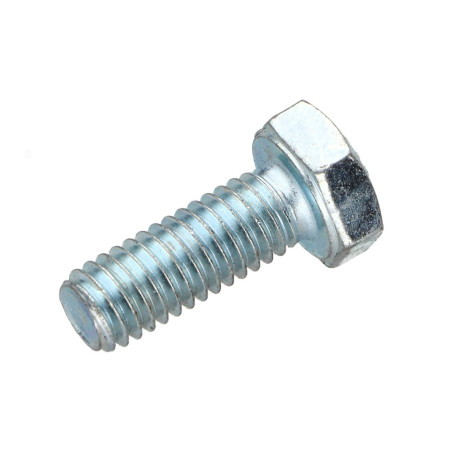 1 x Tornillo metales cabeza hexagonal M6X20 clase 10.9 Acero cincado blanco