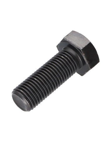 1 x Tornillo metales cabeza hexagonal M24X50...