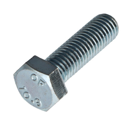 1 x Tornillo metales cabeza hexagonal M10X30 clase 10.9 Acero cincado blanco