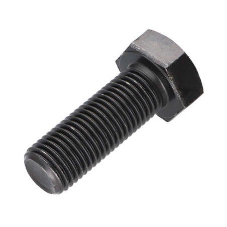 1 x Tornillo metales cabeza hexagonal M22X50 clase 10.9 Acero bruto