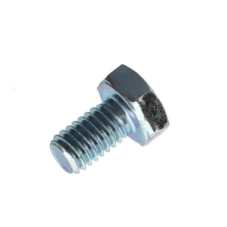 1 x Tornillo metales cabeza hexagonal M6X10 clase 10.9 Acero cincado blanco