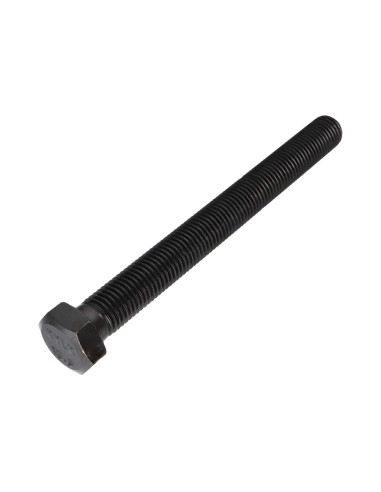 1 x Tornillo metales cabeza hexagonal M20X220...
