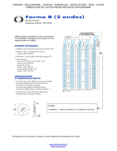 1 x Arandela ONDUFLEX M6 Acero bruto Tipo con 1...