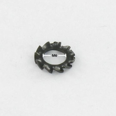 1 x Arandela abanico con dentado exterior AZ M6 Acero cincado negro
