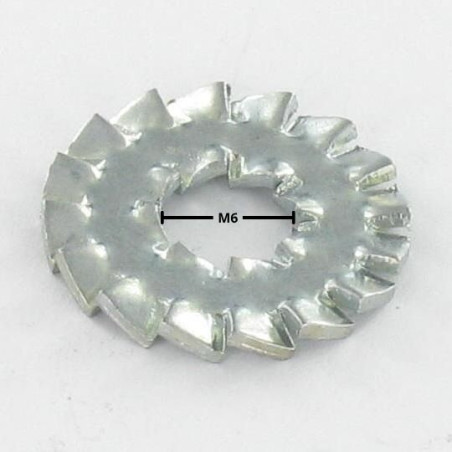 1 x Arandela abanico doble dentado DD M6 Acero cincado blanco