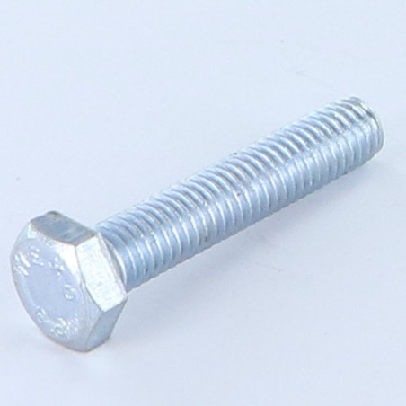 1 x Tornillo metales cabeza hexagonal M6X12 Clase 8.8 Acero cincado blanco