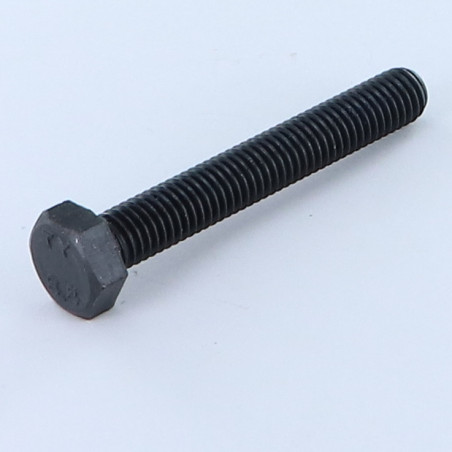 1 x Tornillo metales cabeza hexagonal M6X60 Clase 8.8 Acero bruto