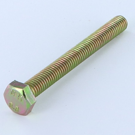 1 x Tornillo metales cabeza hexagonal M10X100 Clase 8.8 Bicromato