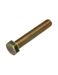 Tornillo metales cabeza hexagonal M12X70 Clase 8.8 Bicromato