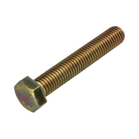 1 x Tornillo metales cabeza hexagonal M12X70 Clase 8.8 Bicromato