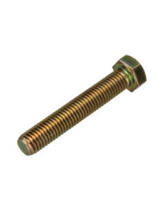 Tornillo metales cabeza hexagonal M12X70 Clase 8.8 Bicromato 2