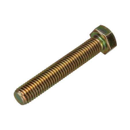 1 x Tornillo metales cabeza hexagonal M12X70 Clase 8.8 Bicromato