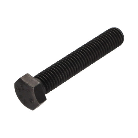 1 x Tornillo metales cabeza hexagonal M14X60 Clase 8.8 Acero bruto