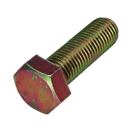 1 x Tornillo metales cabeza hexagonal M16X50 Clase 8.8 Bicromato