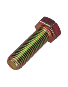 Tornillo metales cabeza hexagonal M20X50 Clase 8.8 Bicromato 2