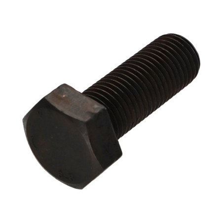 1 x Tornillo metales cabeza hexagonal M22X60 Clase 8.8 Acero bruto