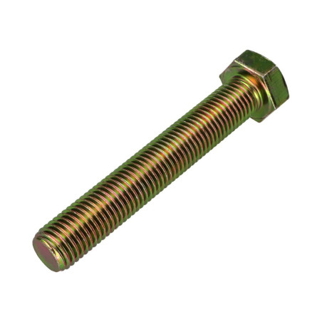 1 x Tornillo metales cabeza hexagonal M20X100 Clase 8.8 Bicromato