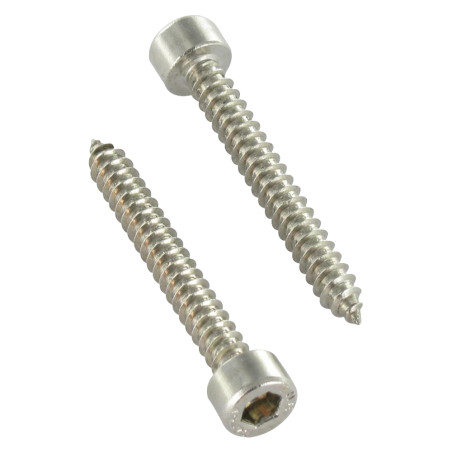 1 x Tornillo chapa CHC BTR Inoxidable A2 4.8X19