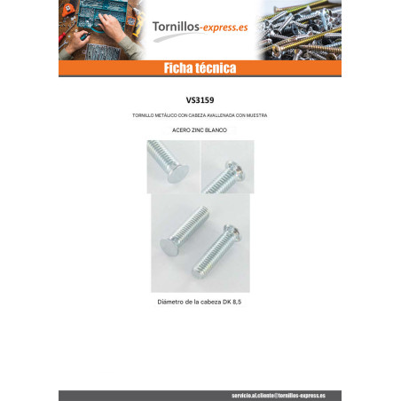 1 x Tornillo metales cabeza fresada/testa svasat dentado M6X15 diámetro de cabeza: 8.5 Acero cincado blanco