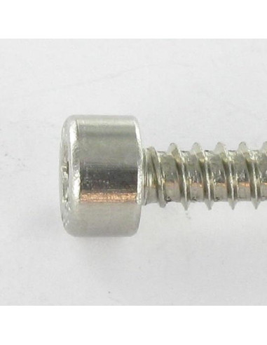 1 x Tornillo chapa CHC BTR Inoxidable A2 4.8X38