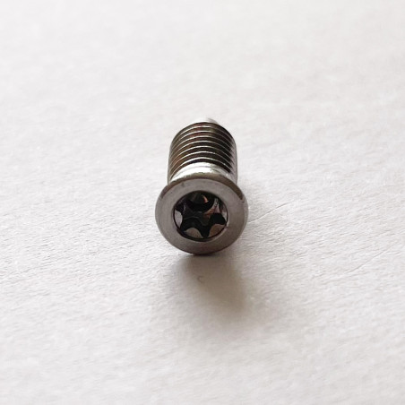 1 x Tornillo metales cabeza fresada/testa svasat TORX T15 M5X13.5 Inoxidable A2