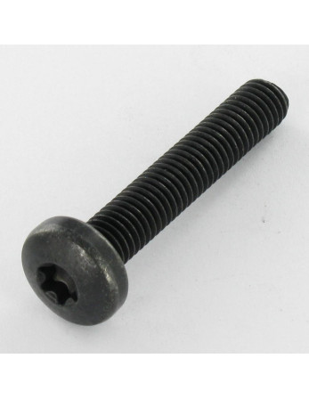 1 x Tornillo metales cabeza abombada TORX T40...