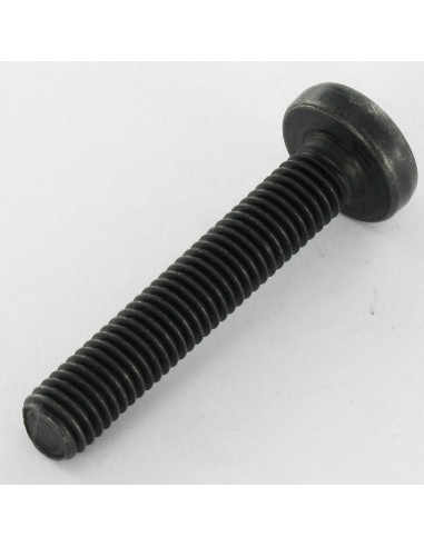 1 x Tornillo metales cabeza abombada TORX T40...
