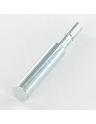 1 x Eje PIVOTE 8X55 Acero cincado blanco