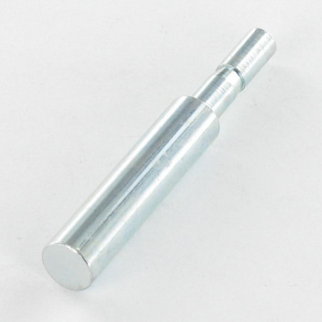 1 x Eje PIVOTE 8X55 Acero cincado blanco