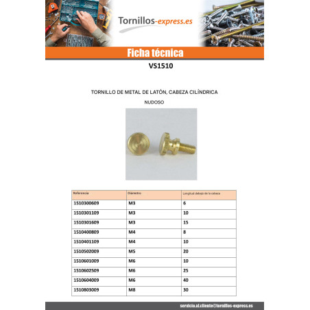 1 x Tornillo metales Latón cabeza cilíndrica fresada M3X10 microtornillo
