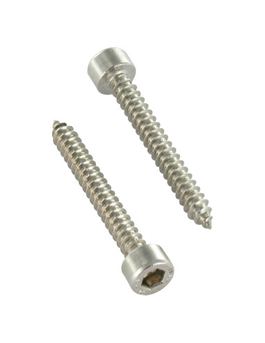 1 x Tornillo chapa CHC BTR Inoxidable A2 4.8X45