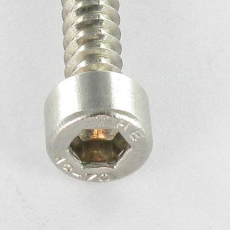 1 x Tornillo chapa CHC BTR Inoxidable A2 4.8X45