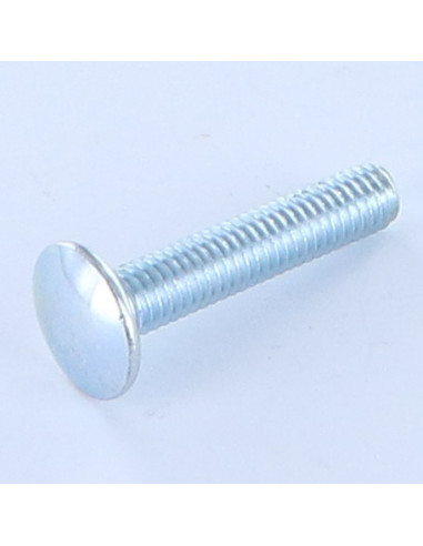 1 x Cabeza redonda cuello cuadrado M6X30 cuello...